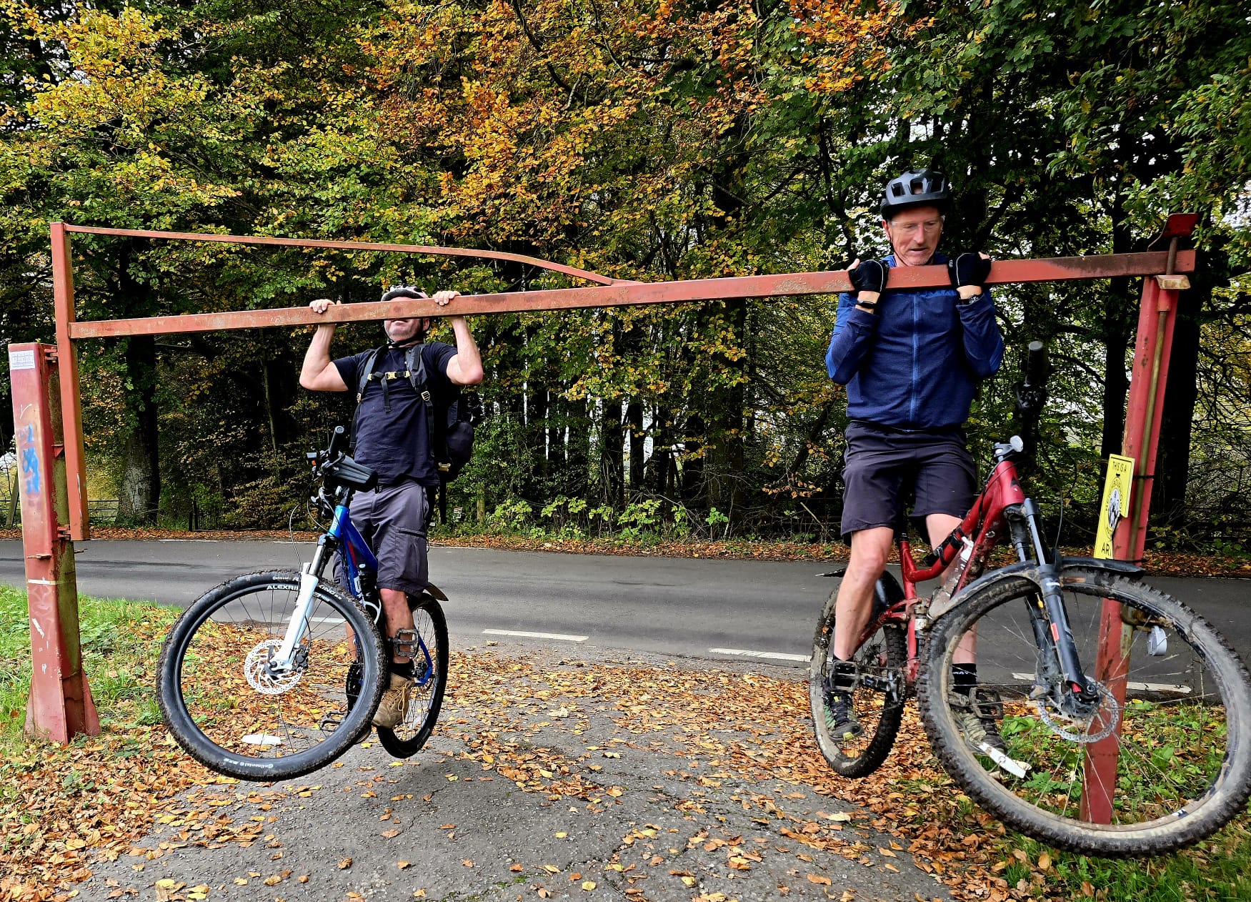 Bike on woodland trail