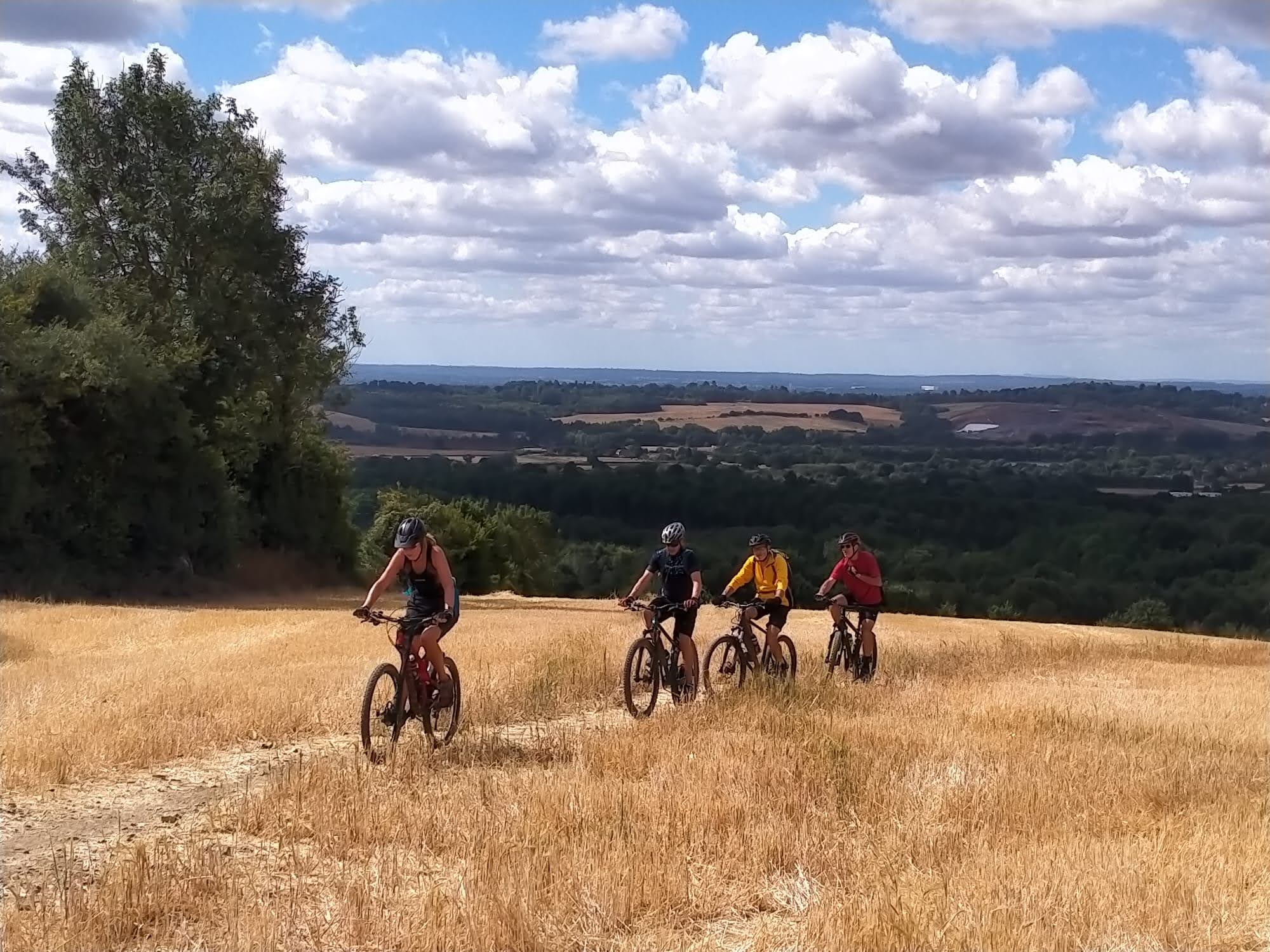 Bike on woodland trail